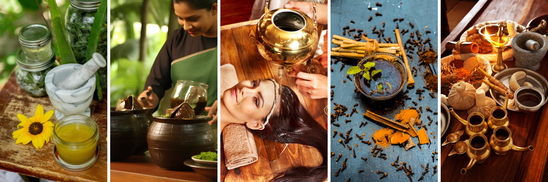 Ayurveda & Panchakarma — Resort & Retreat Consulting | Gladwin International